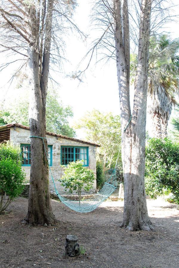 Neiva River House - Azenha Next To The River Esposende Esterno foto